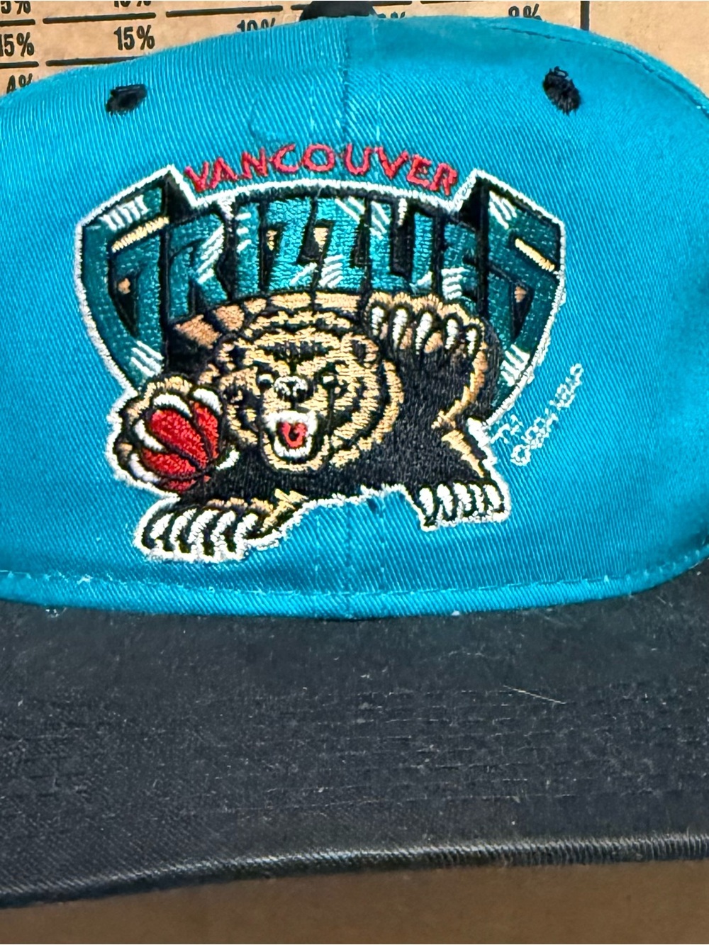 RARE Vintage Vancouver Grizzlies Teal & Black Snapback Hat